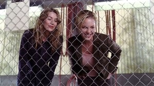 Nonton Film Grey’s Anatomy Season 2 Episode 11 Terbaru