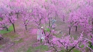 Nonton Film The Legend of the Condor Heroes Season 1 Episode 29 Terbaru
