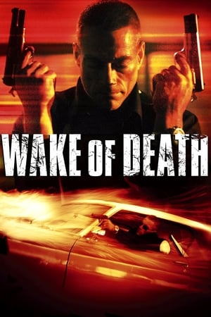 Nonton Film Wake of Death (2004) Terbaru