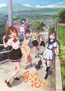 Nonton Film Na Nare Hana Nare – Episode 3 Terbaru